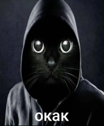 1751809331479.png